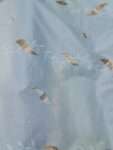 Light Sky Blue Cotton Blend Fabric with Leaf Motif Embroidery